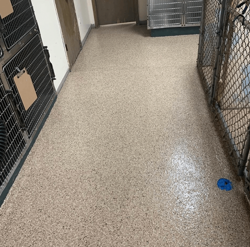 Epoxy flooring by Ascent Epoxy Jacksonville, displaying durable custom designs for residential and commercial applications.